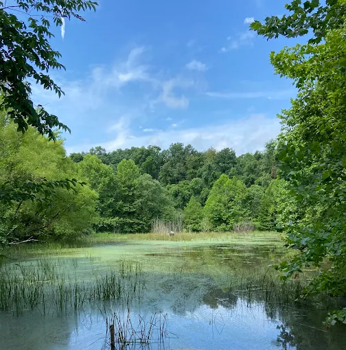 McDonough Wildlife Refuge